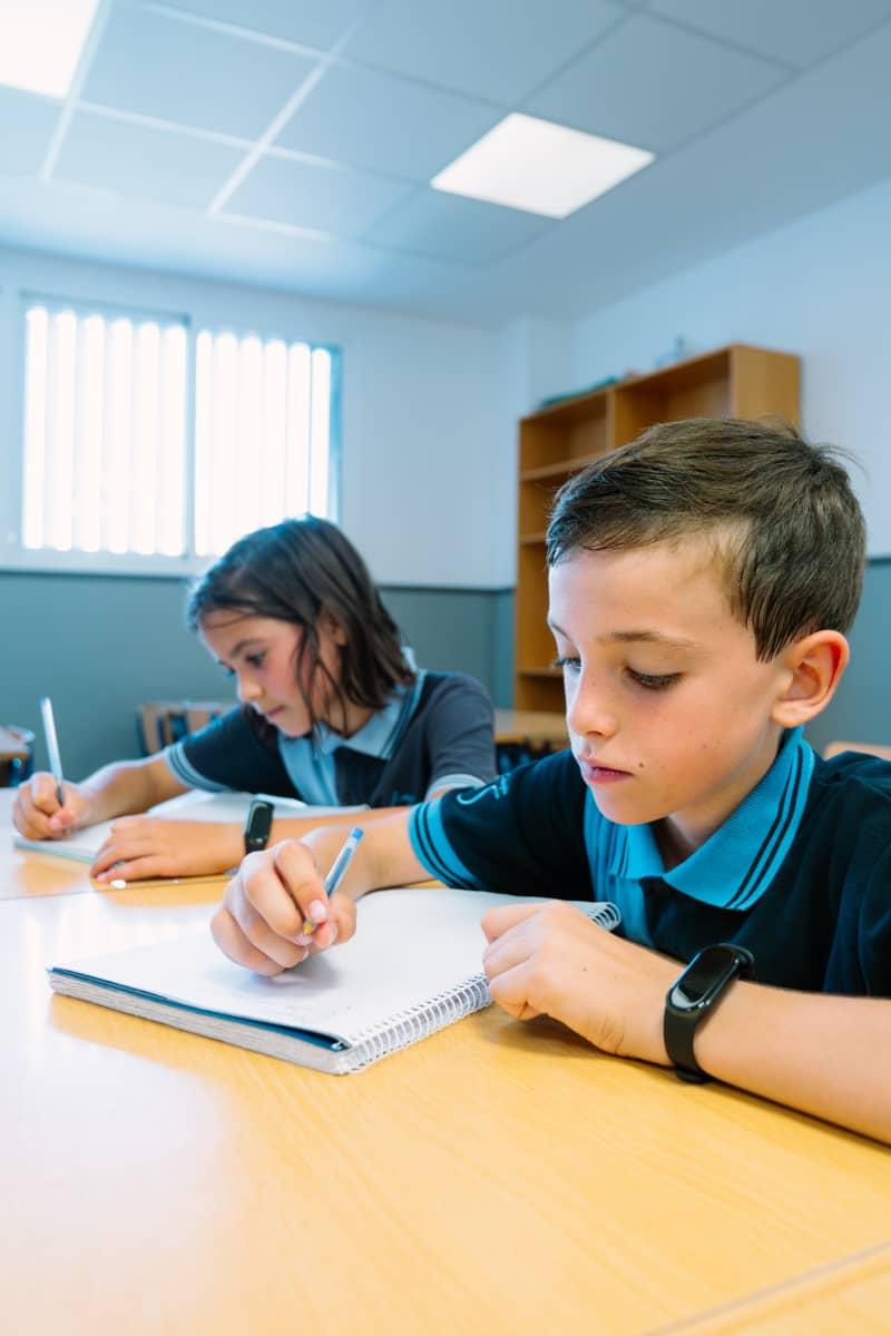 Etapa Primaria